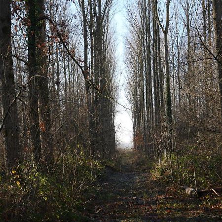 La Cabane Du Chasseur Flines-Les-Mortagne Kültér fotó