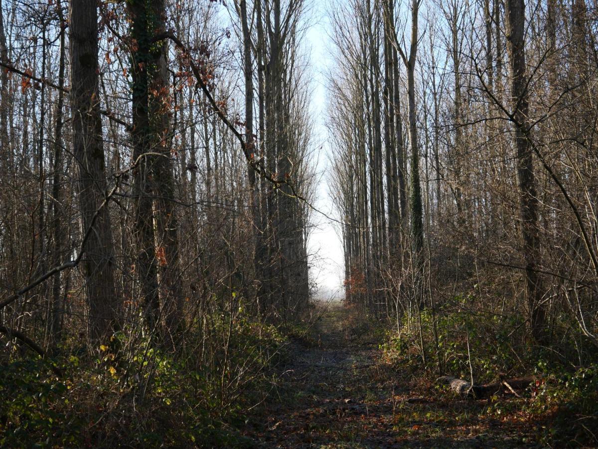 La Cabane Du Chasseur Flines-Les-Mortagne Kültér fotó
