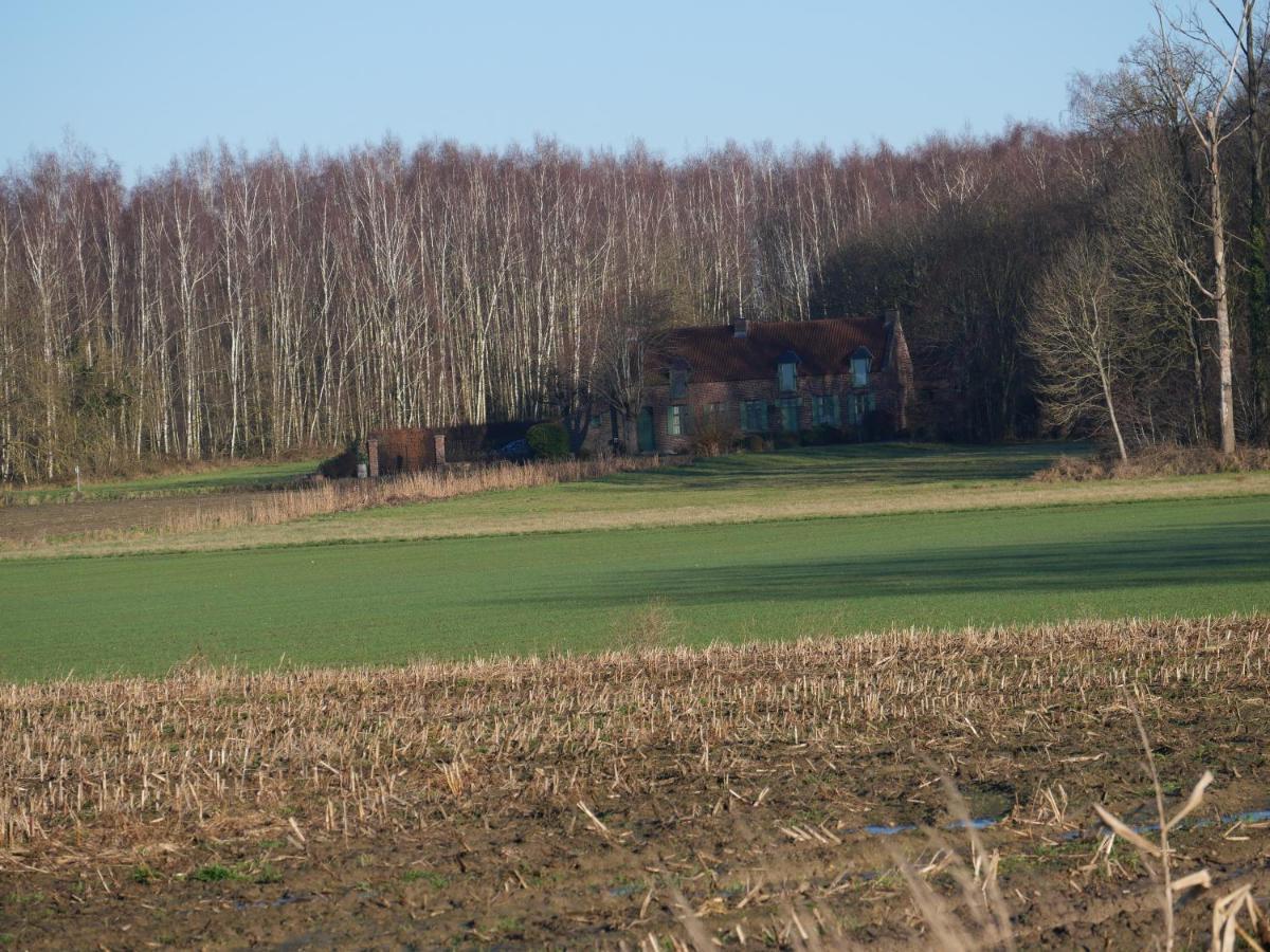 La Cabane Du Chasseur Flines-Les-Mortagne Kültér fotó